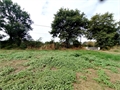 Image du bien APR728202